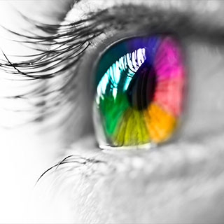 Same Day Color Edges